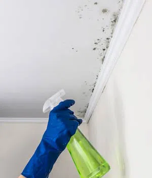 Homestead Emergency Restoration Homestead, FL 786-408-2426