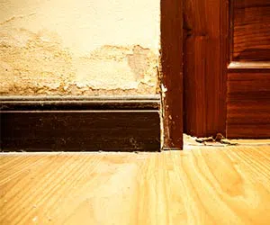 Homestead Emergency Restoration Homestead, FL 786-408-2426