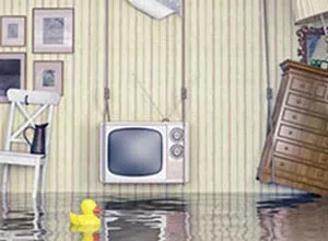 Homestead Emergency Restoration Homestead, FL 786-408-2426 - miami-dade