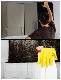 Homestead Emergency Restoration Homestead, FL 786-408-2426